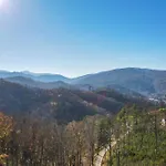 Walnut Ridge Cabin. Sleeps 7-11! Hot Tub, Pool Table, Minutes To Downtown Gatlinburg!