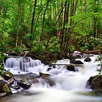 Gatlinburg\'S Ski Mountain Resort, 10 Min From Downtown, King Bed, Pool, Hot Tub, Private Balcony Lowest Prices Of The Year