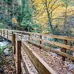 Misty Hollow, 3 Bedrooms, Hot Tub, Pool Table, Fireplace, Pool, Sleeps 10