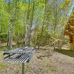 American Views Cabin