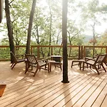 The Hickory In Treehouse Grove At Norton Creek
