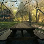 The Dogwood In Treehouse Grove At Norton Creek