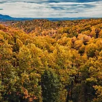 Secluded Mtn View New! 10 Mins To Gatlinburg Or Park