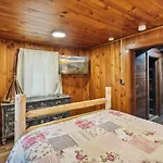 Smoky Speakeasy 2 Cabins 2 Hot Tubs And Private Pool