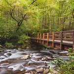 Mountain Eden, Hot Tub, Resort Pool, Wifi, 1089 Free Tickets Each Paid Day, Dollywood And More
