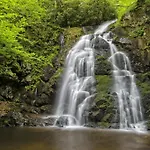Maple Trails, Wifi, 1089 Free Tickets Each Paid Day, Dollywood And More