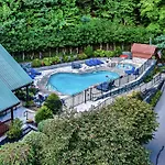 The Adventure Lodge Located In Black Bear Falls Resort With 3 King Suites!