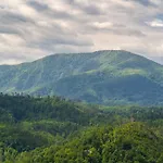 Smoky Mountain High By Stony Brook Cabins