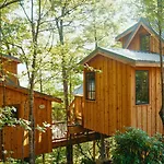 The Mulberry In Treehouse Grove At Norton Creek
