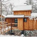 The Moosewood In Treehouse Grove At Norton Creek