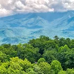 Cubby Bear, Hot Tub, Resort Pool, 1089 Free Attraction Tickets Each Paid Day, Dollywood And More!