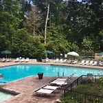 Beartastic Mountain View Lodge