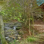 Creeksong Holiday Home