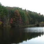 Eagles View, Luxury Living Amazing Mtn Views! Indoor Pool & Spa
