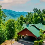 Treetop Retreat