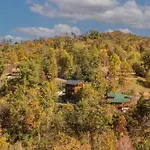 Mountain View, Indoor Pool, Luxury Cabin, Bears