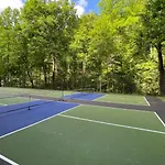 Black Bear Getaway