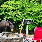 Dudley Creek Rv Resort