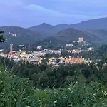 The Bears Den-420 & Pet Friendly