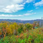 Bigger Bear Views Lodge