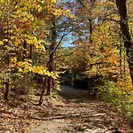 Black Bear Retreat