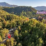 Luxury Modern Gatlinburg Cabin Hot Tub And Sauna