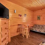Gatlinburg Cabin Near Ripley\'S Aquarium