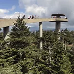 Gatlinburg Towers # 301