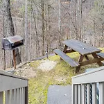 Spacious Gatlinburg Cabin With Hot Tub And Game Room!