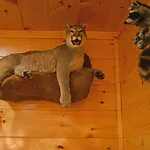 Smoky Mountain Heaven V, 5 Luxury King Suites