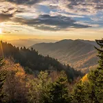 Mountain Mist By Avada Properties