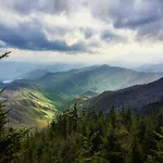 Mountain Mist By Avada Properties