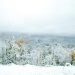 Leconte Mountain Breeze