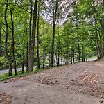 Wooded Mtn Chalet With Loft 2 Mi To Ober Gatlinburg!