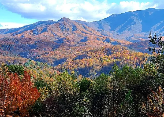 Mountain View Memories