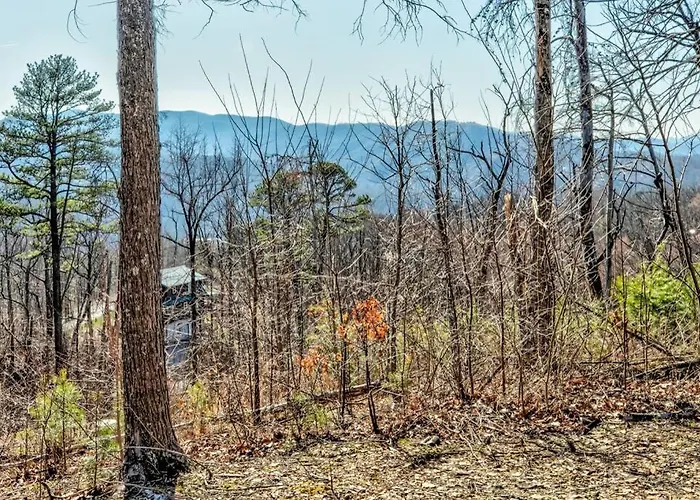 Amazing Views! Hot Tub,Pool Table,Fireplace,Relax!
