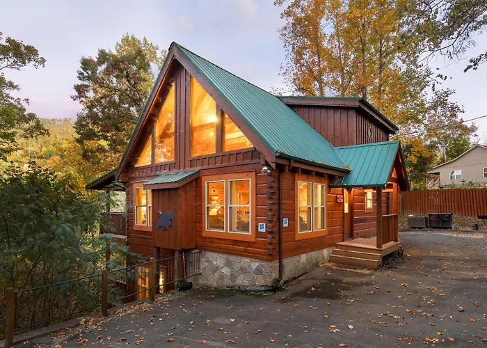Cozy Bear Lodge