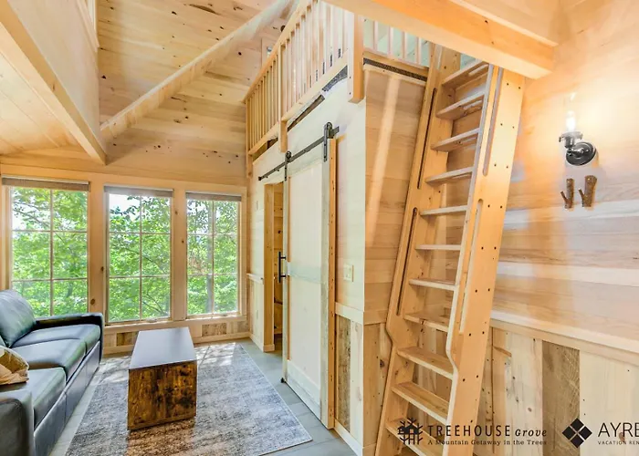 The Green Ash In Treehouse Grove At Norton Creek