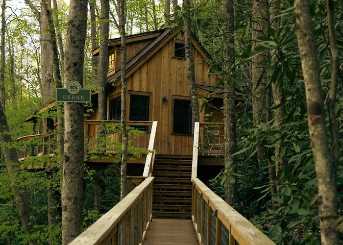 The Cedar In Treehouse Grove At Norton Creek