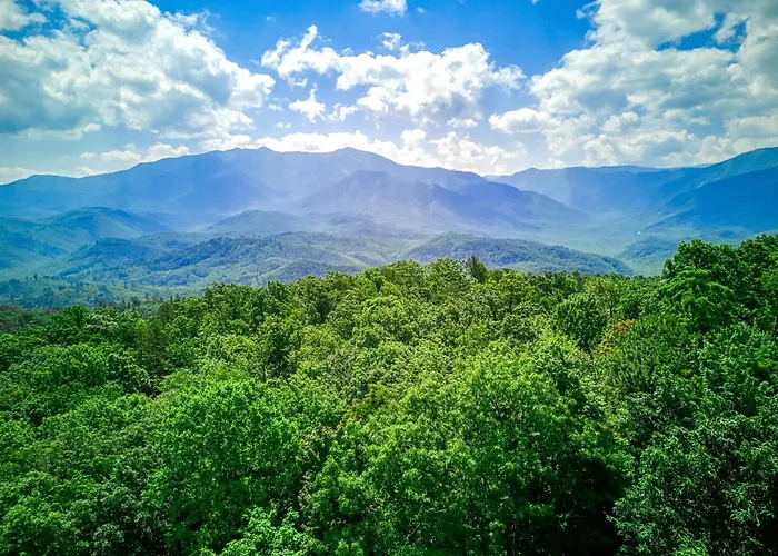 Dancing Bear Lodge, 1089 Free Attraction Tickets For Each Paid Day, Dollywood And More