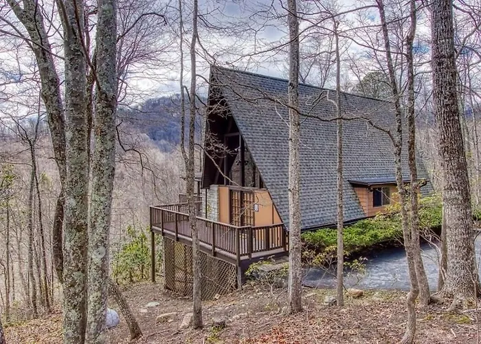Honey Bear Slopes By Avada Properties