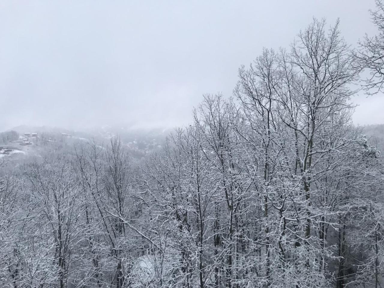 Rainwater Falls * Gatlinburg
