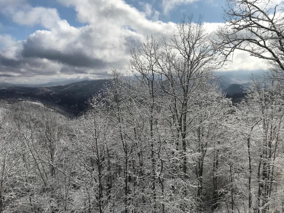 Holiday home Rainwater Falls Gatlinburg