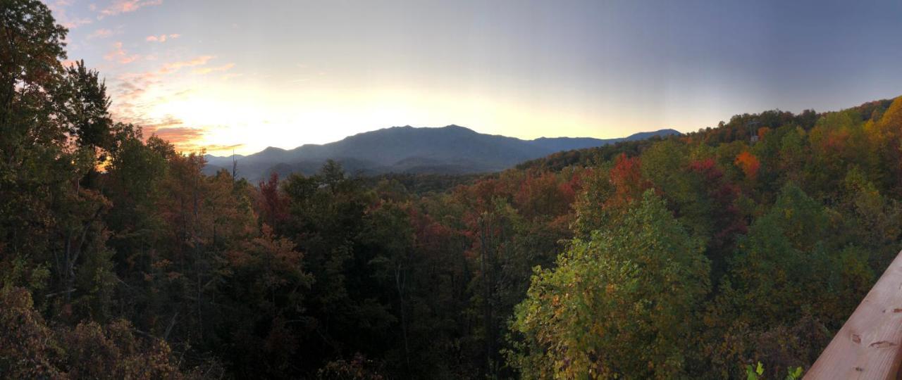 Heavenly View - Bear Themed Cabin, Hottub, Dog-friendly, Near Chalet Gatlinburg