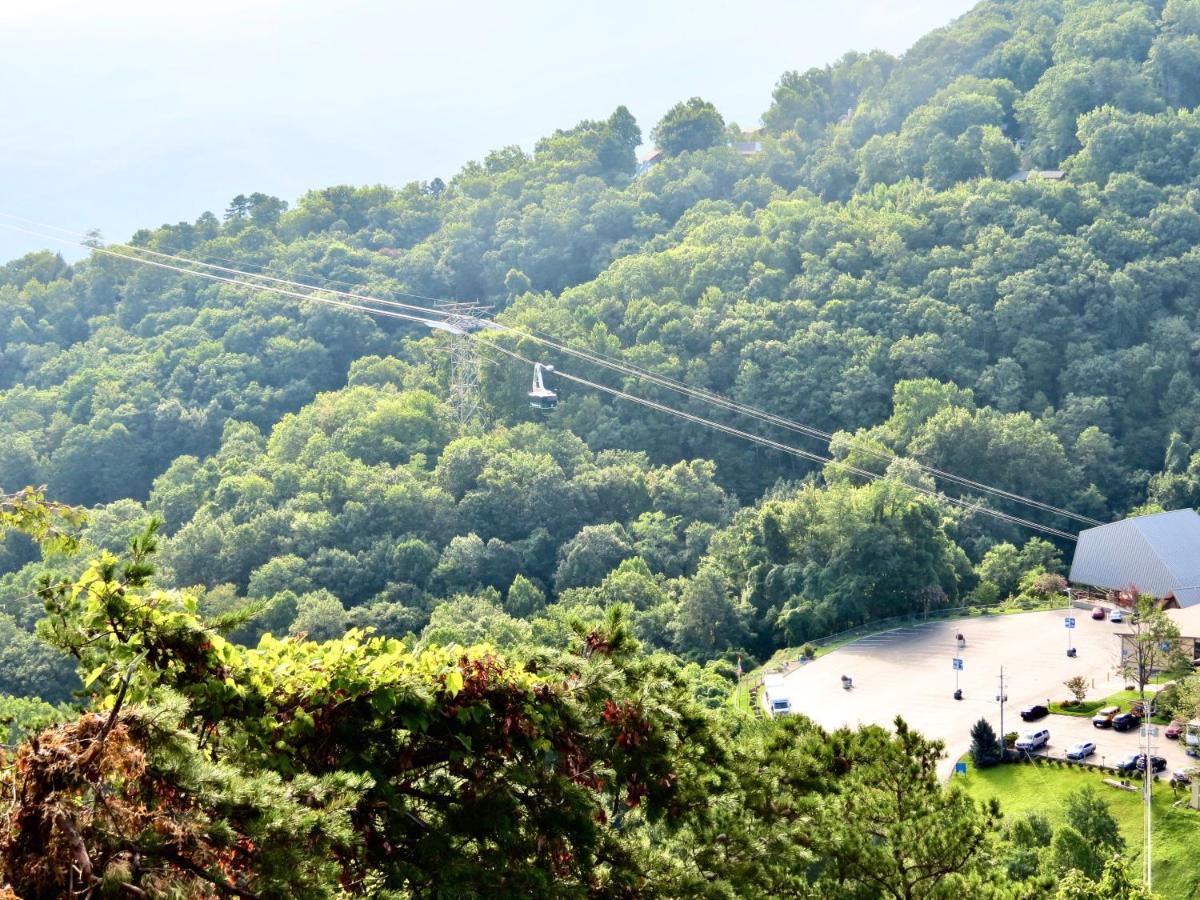 Million Dollar Views! 4 Bedroom, Sleeps 9, Close To National Park And 5 Mi To Gatlinburg! Chalet Gatlinburg