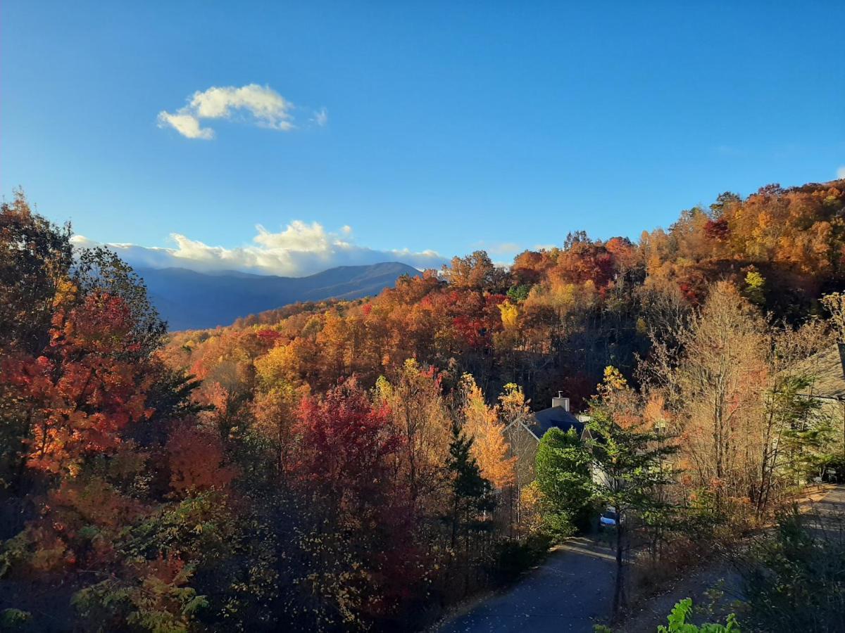 Tree Tops Retreat: Luxury Mountain With Hot Tub And Bear Sightings Holiday home *