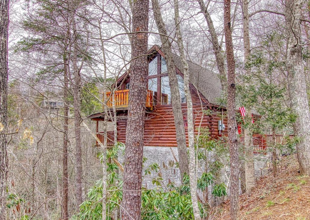 Bucky's Bungalow, Hot Tub, 1089 Of Free Attraction Tickets For Each Paid Day, Dollywood And More! Gatlinburg