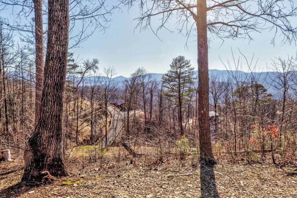 Amazing Views! Hot Tub,pool Table,fireplace,relax! *