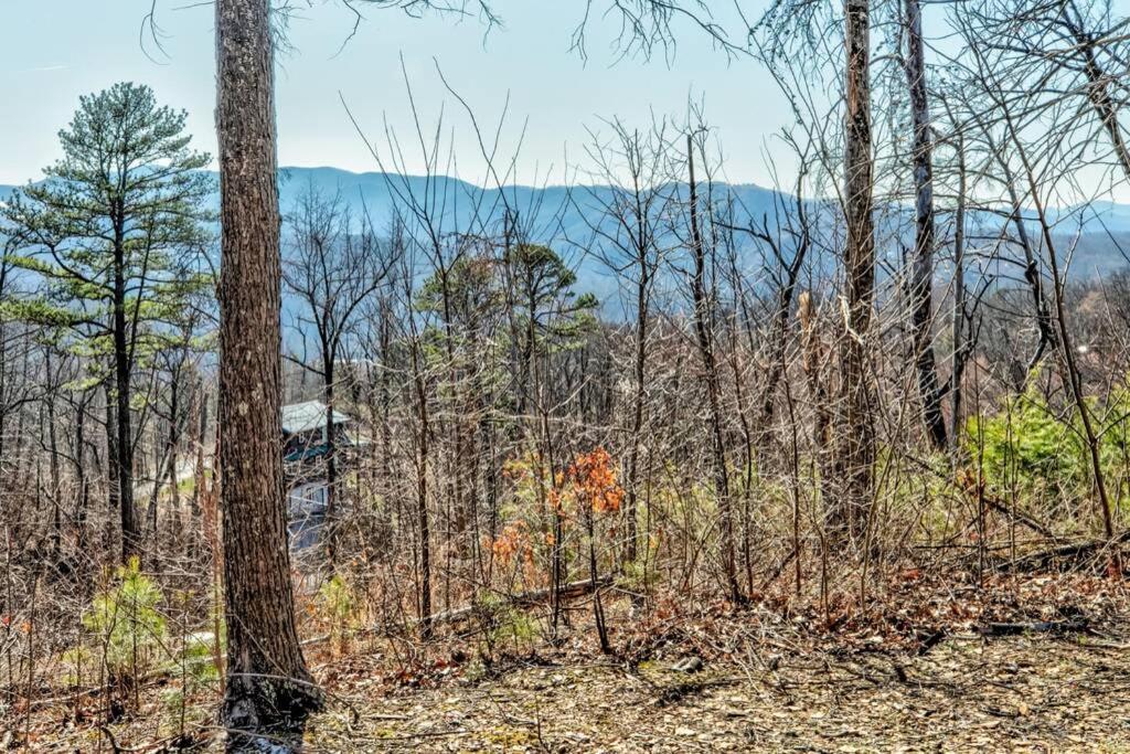 Amazing Views! Hot Tub,pool Table,fireplace,relax! Holiday home *