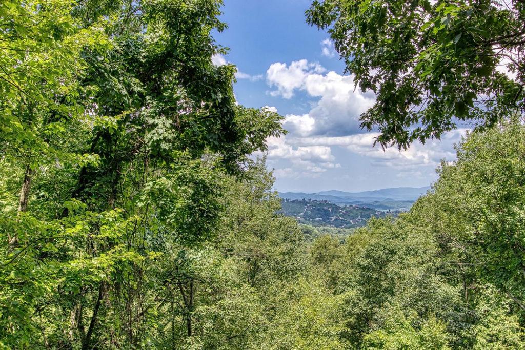 Chalet Serenity Heights, Amazing Views, Hot Tub Pool Access, 1089 Free Tickets Each Paid Day, Dollywood Gatlinburg